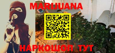 сатива Коммунар