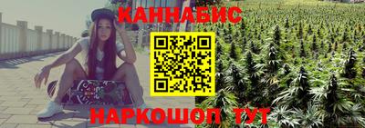 сатива Коммунар