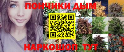 сатива Коммунар