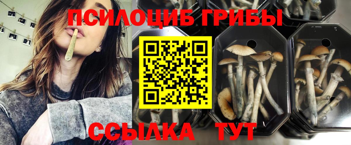 Галлюциногенные грибы GOLDEN TEACHER  Вход с VPN  Конаково 